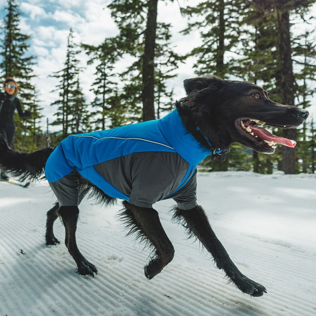 Ruffwear Vert koiran talvihaalari